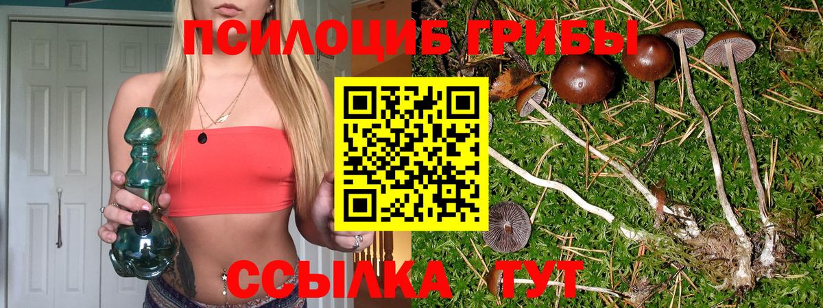 Галлюциногенные грибы ЛСД  Псилоцибиновые грибы Magic Shrooms  Лыткарино  Вход с VPN 
